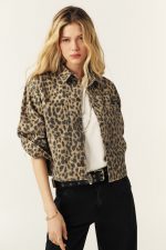 TIMOTEE - ba_sh – Image 2