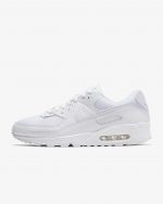 Nike Air Max 90_Nk