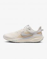 Nike Air Zoom Pegasus 41 SP_Nk