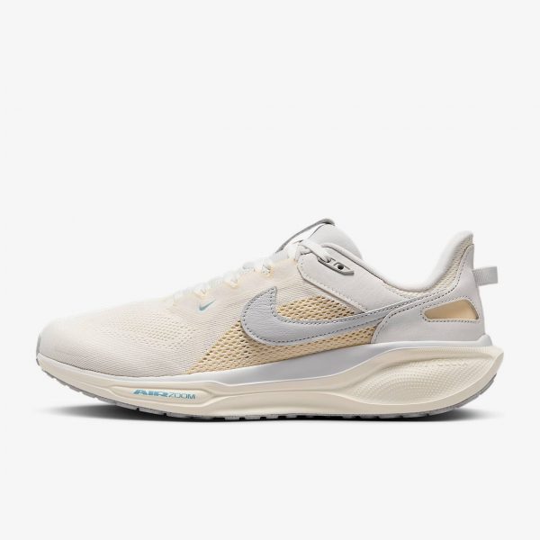 Nike Air Zoom Pegasus 41 SP_Nk