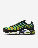 Nike Air Max Plus_Nk