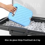 Pack de glace grand format pour glacière Ninja FrostVaut (2,1 kg) – Image 4